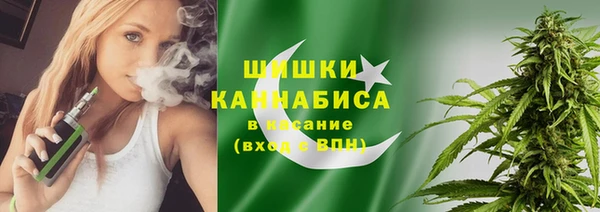сатива Богородицк