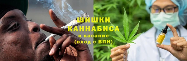 сатива Богородицк