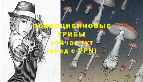 сатива Богородицк