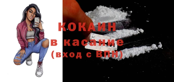 сатива Богородицк