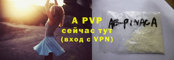 сатива Богородицк