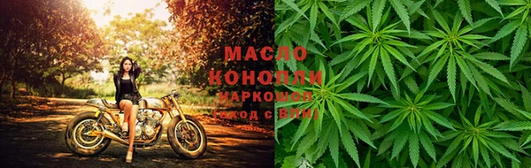 сатива Богородицк