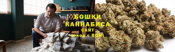 сатива Богородицк