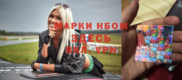 сатива Богородицк